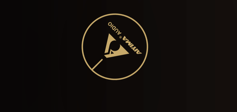 AIYIMA A07 MAX TPA3255 Audio Power Amplifier 2.0 Stereo Amplify 300Wx2 PBTL Mono Sound Amplifier 600W Home Speaker Amplificador