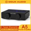 Douk Audio A5 TPA3255 Stereo Class D Amplifier 300W